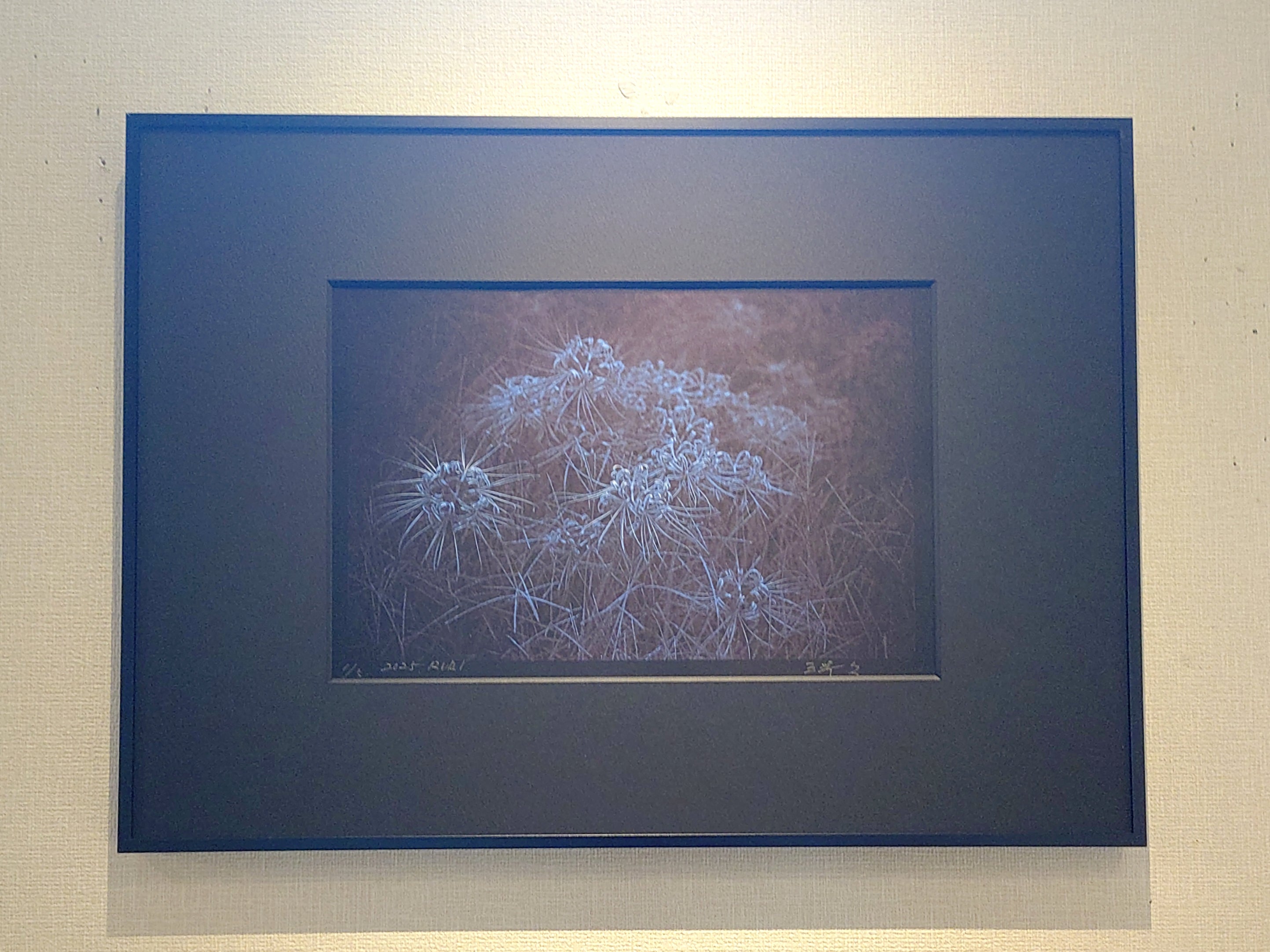 AIJP竹和紙を使った写真作品 | アワガミファクトリー オンラインストア