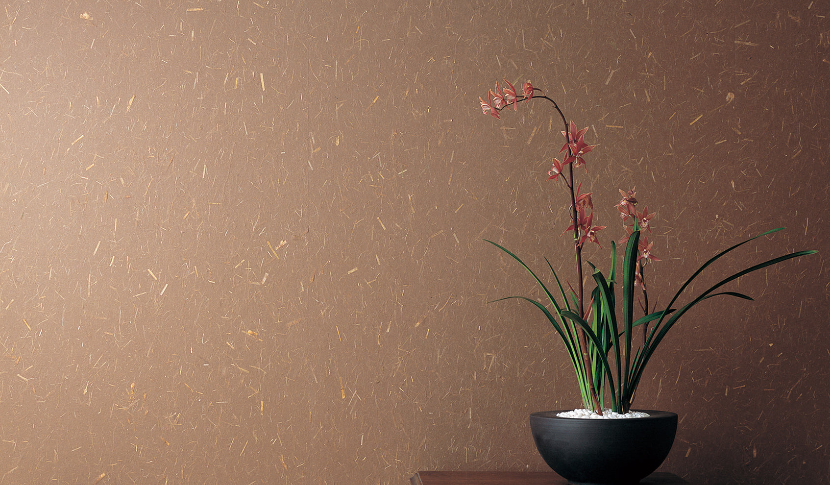 e31270f8d50fe78960f78f60b06aff