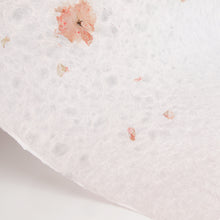 画像をギャラリービューアに読み込む, 花漉き込み紙 桜
