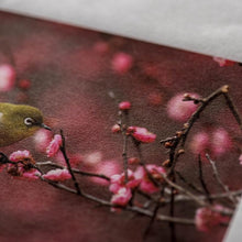 画像をギャラリービューアに読み込む, AIJP 楮 (薄口) 白 アウトレットロール 1118mm×15m