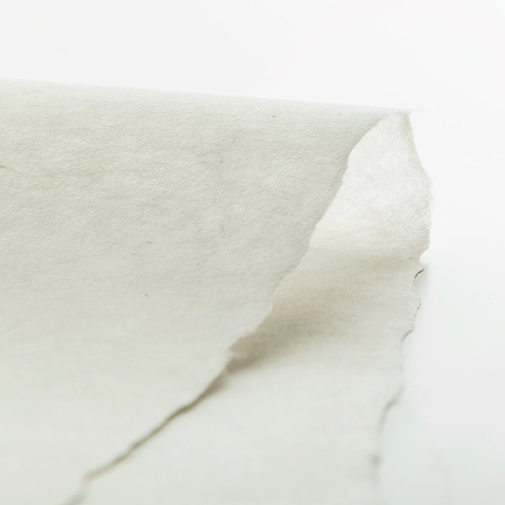 血染めのぬかるみ ONS 3枚セット Foil】《血染めのぬかるみ/Bloodstained Mire》[ONS] 土地R