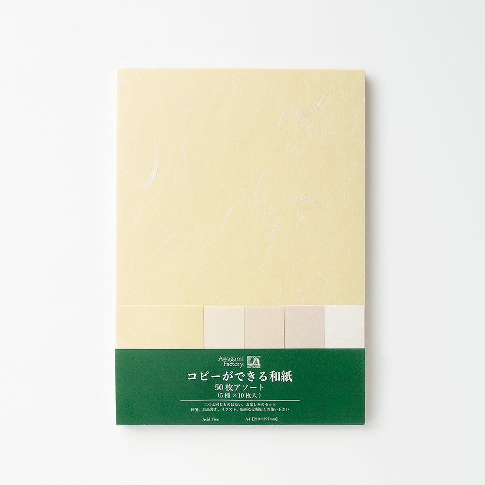 アワガミファクトリー 大判和紙 (木綿麻紙, 100x200cm 5枚)