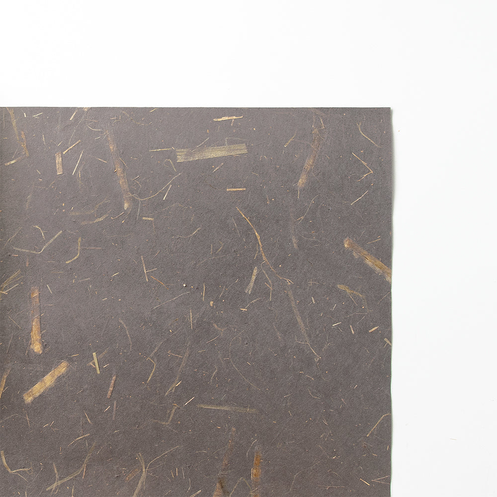 壁紙 棕梠 AW6255 | アワガミファクトリー オンラインストア │ 阿波