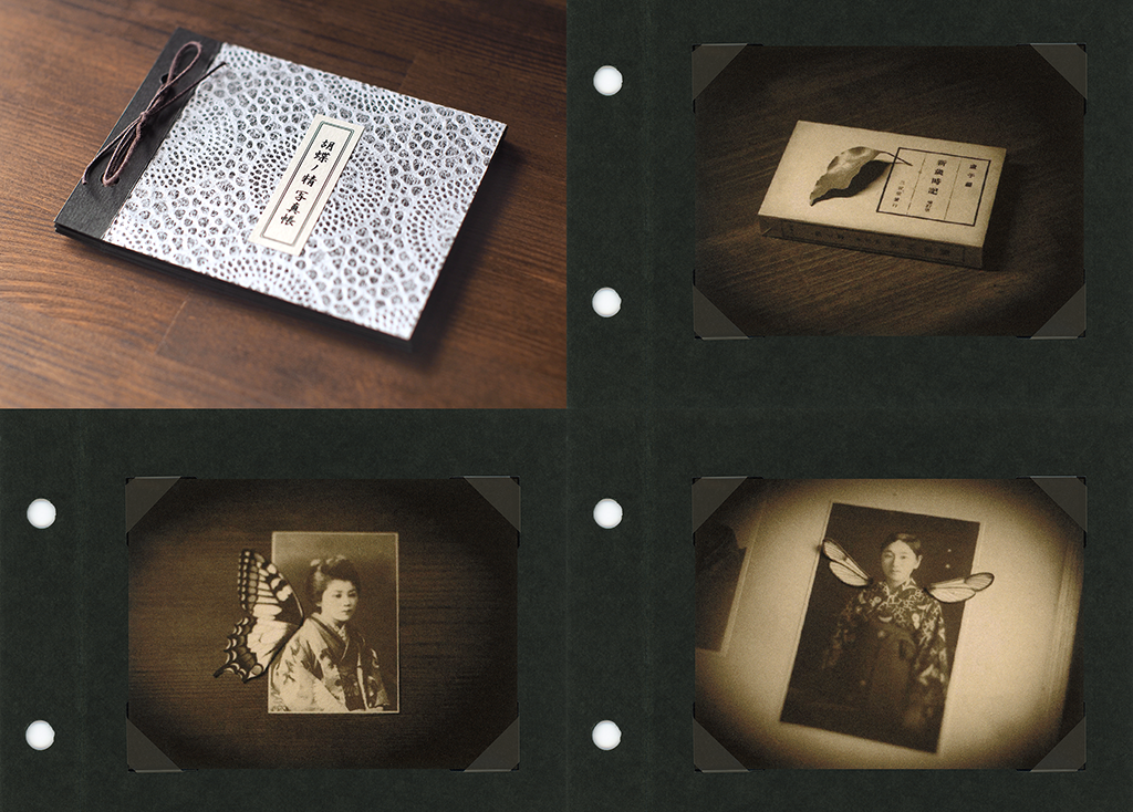AIJP 楮 厚口 白を使ったちいさなアルバム型写真集