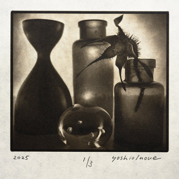 型染原紙「北斎」を使った版画作品