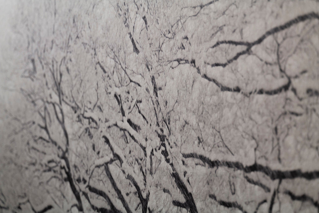 びざん純白厚口 特注紙の写真作品