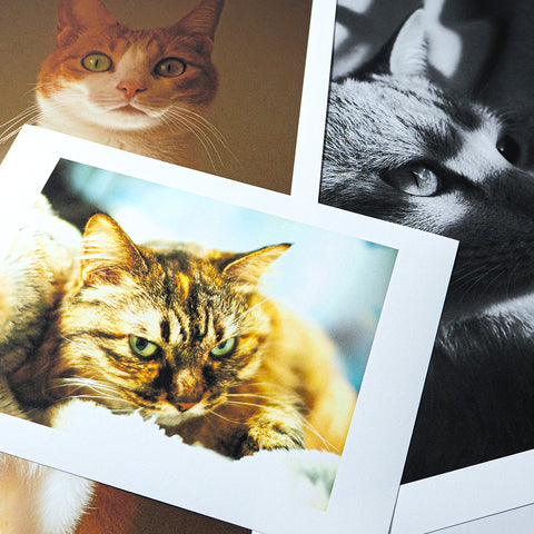 かんたん和紙プリント ＊2026/2/20〜3/2の間のご注文は、3/3より順次発送いたします