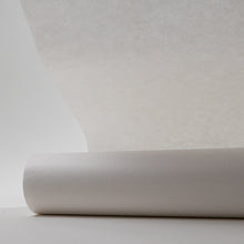 画像をギャラリービューアに読み込む, 【新商品】W-13 シルクホワイトロール 10m
