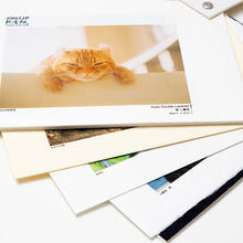 画像をギャラリービューアに読み込む, ＜限定品＞AIJP 猫の印字見本帳 A5サイズ
