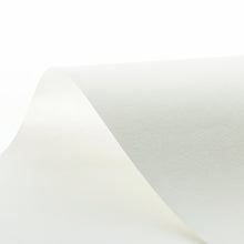 画像をギャラリービューアに読み込む, 白樺 サンプラー
