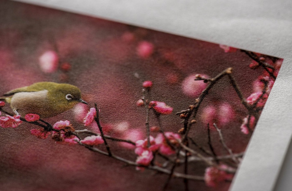 AIJP 楮 (薄口) 白 アウトレットロール 1118mm×15m