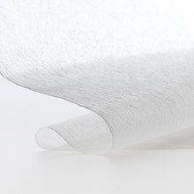 画像をギャラリービューアに読み込む, 富士楮 5g  10枚入り
