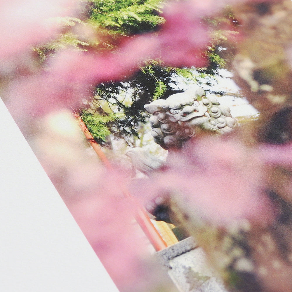 IJ-1344 竹和紙 110g/m2 A4サイズ | アワガミファクトリー オンライン