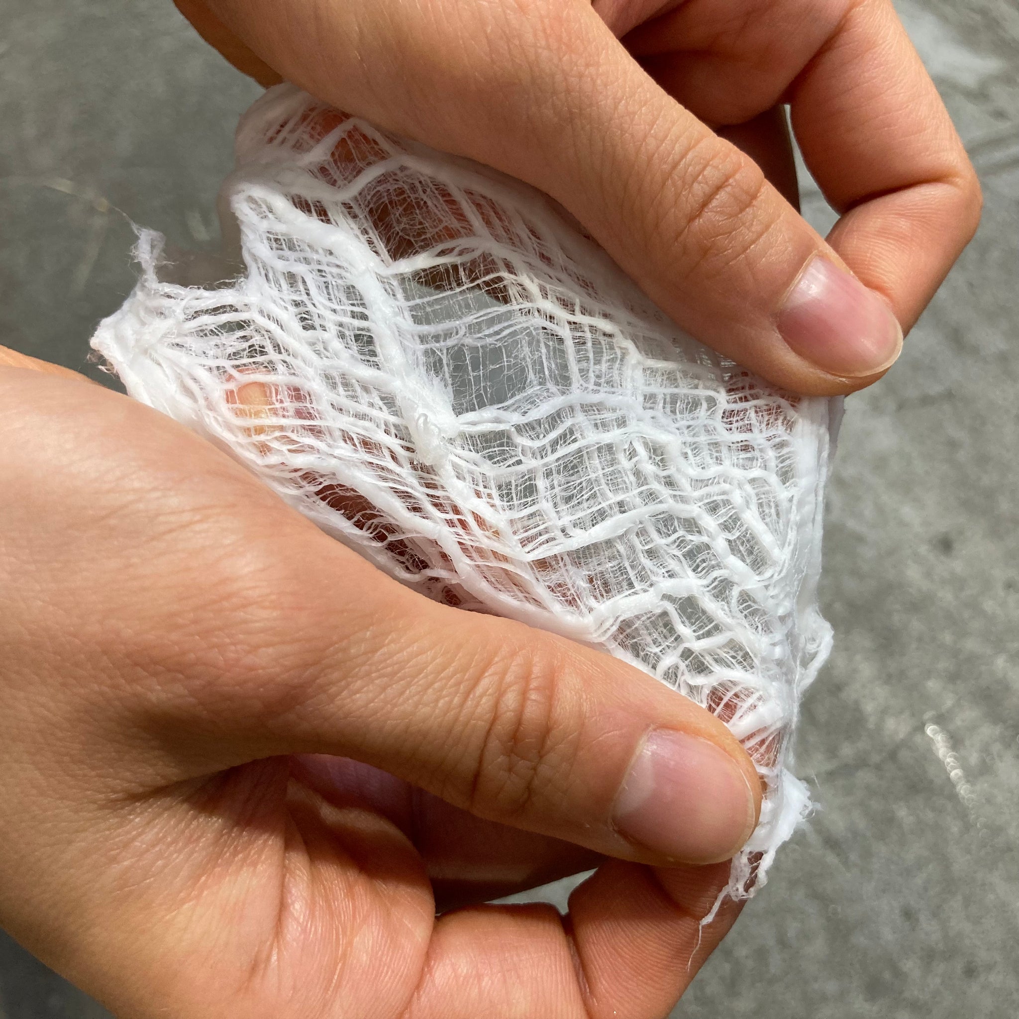 楮 晒 ウェット原料（打解前）1kg ＊ご注文後、約1週間程で納品予定