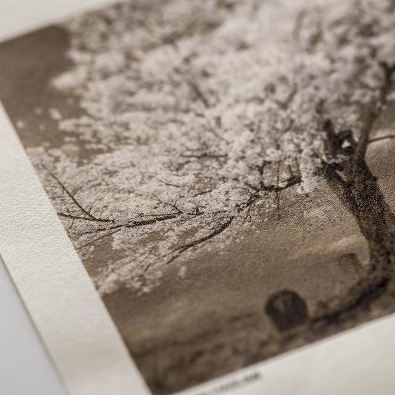 【KOH】お写真53枚 IJ-0301 楮 (薄口) 生成色 A3ノビサイズ | アワガミファクトリー